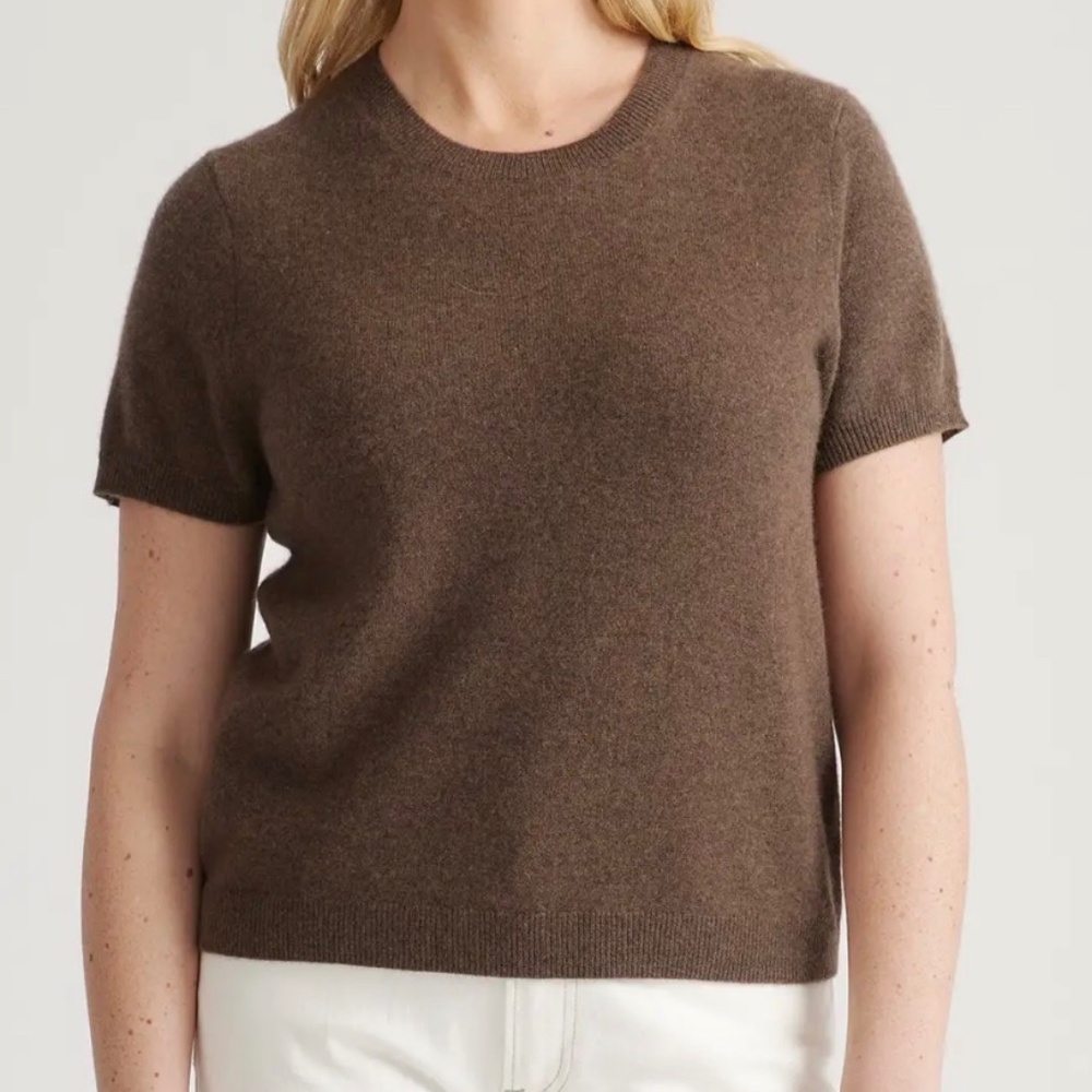 Quince Mongolian Cashmere Tee (Brown)